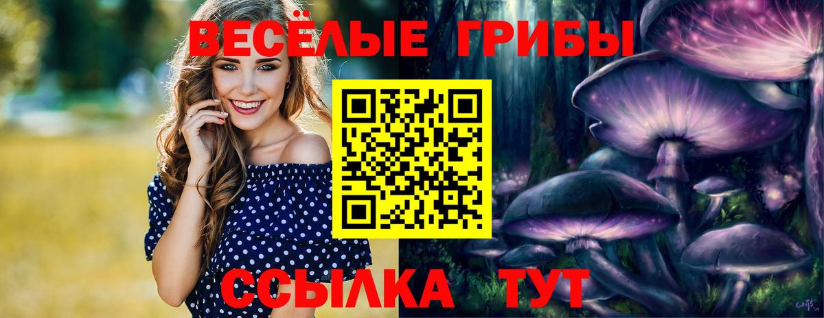 Саянск  Галлюциногенные грибы Psilocybine cubensis  хочу   Галлюциногенные грибы Psilocybine cubensis  Вход с VPN 